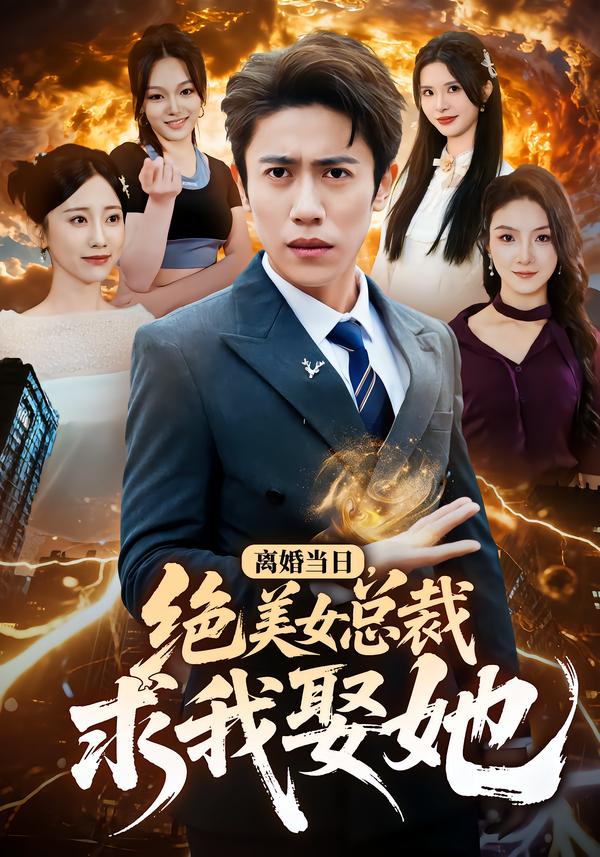 离婚当日，绝美女总裁求我娶她海报