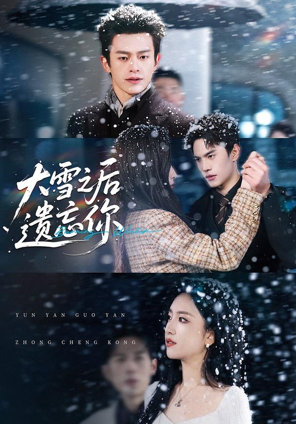 大雪之后遗忘你海报