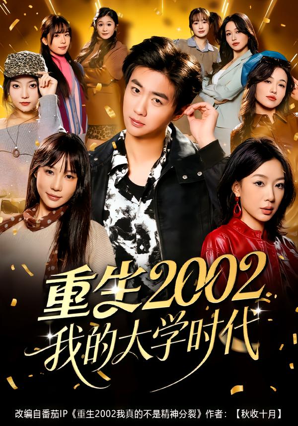 重生2002我的大学时代海报