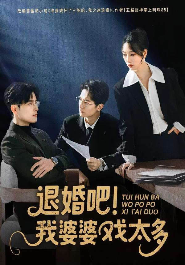 退婚吧！我婆婆戏太多海报