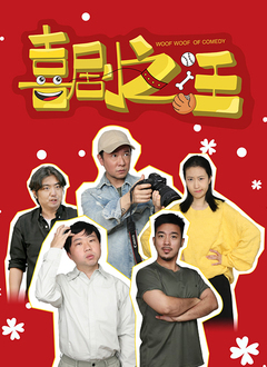 喜剧之汪海报
