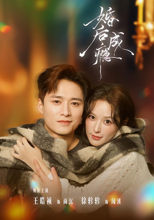 婚后成瘾海报