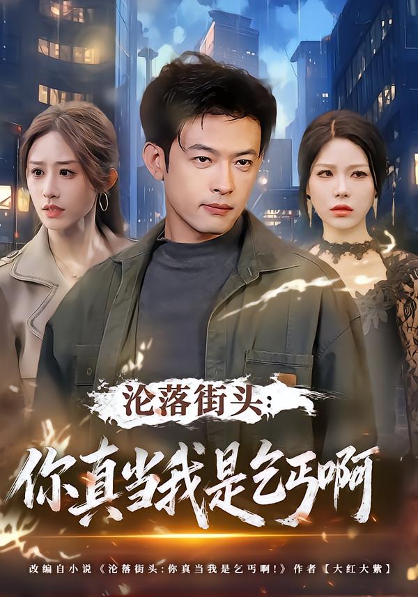 沦落街头：你真当我是乞丐啊海报