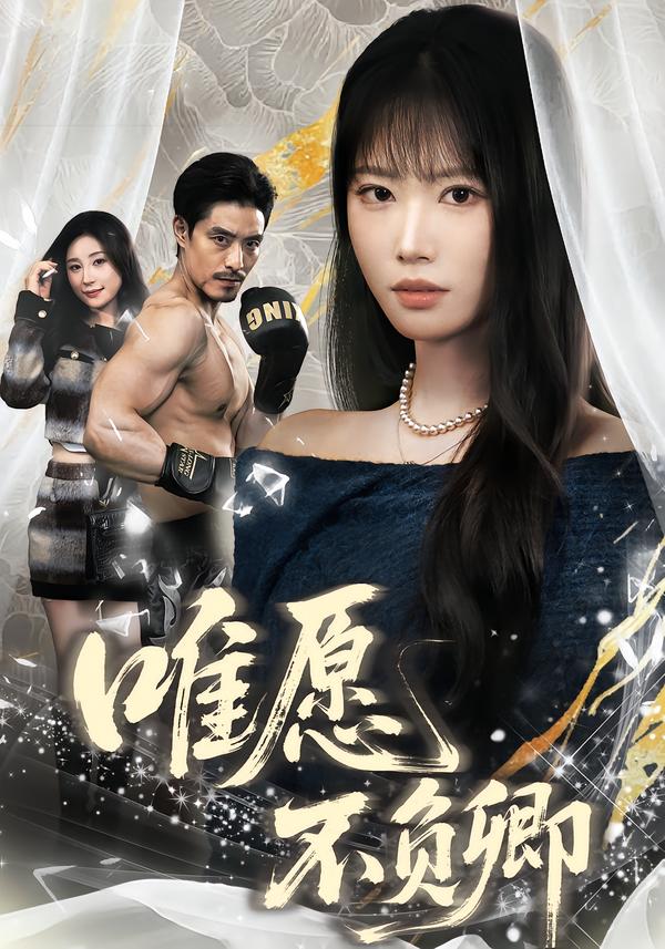 唯愿不负卿海报