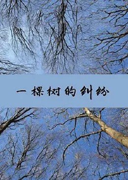 一棵树的纠纷海报