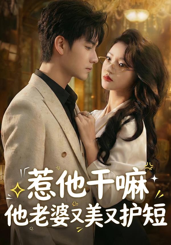 惹他干嘛他老婆又美又护短海报
