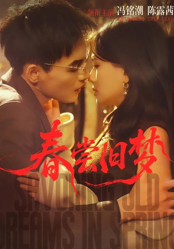 春尝旧梦海报