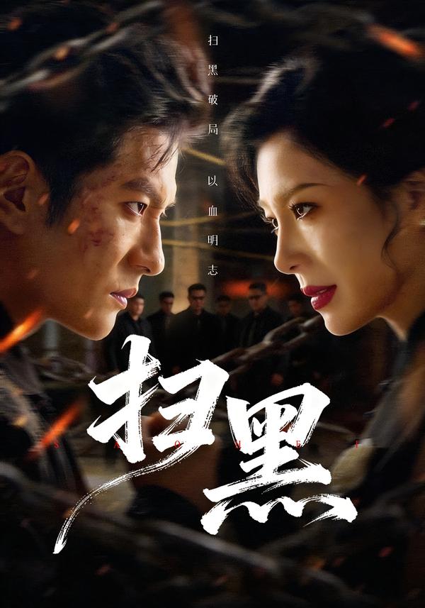 扫黑2026海报