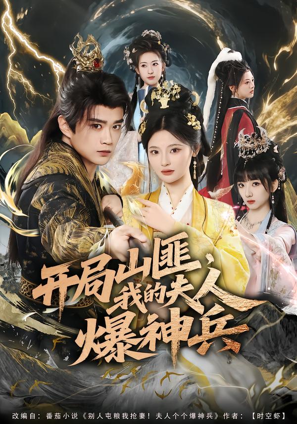 开局山匪，我的夫人爆神兵海报