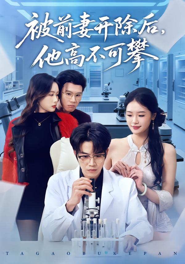 被前妻开除后，他高不可攀海报
