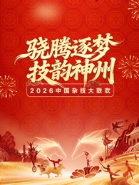 河南卫视2026中国杂技大联欢海报