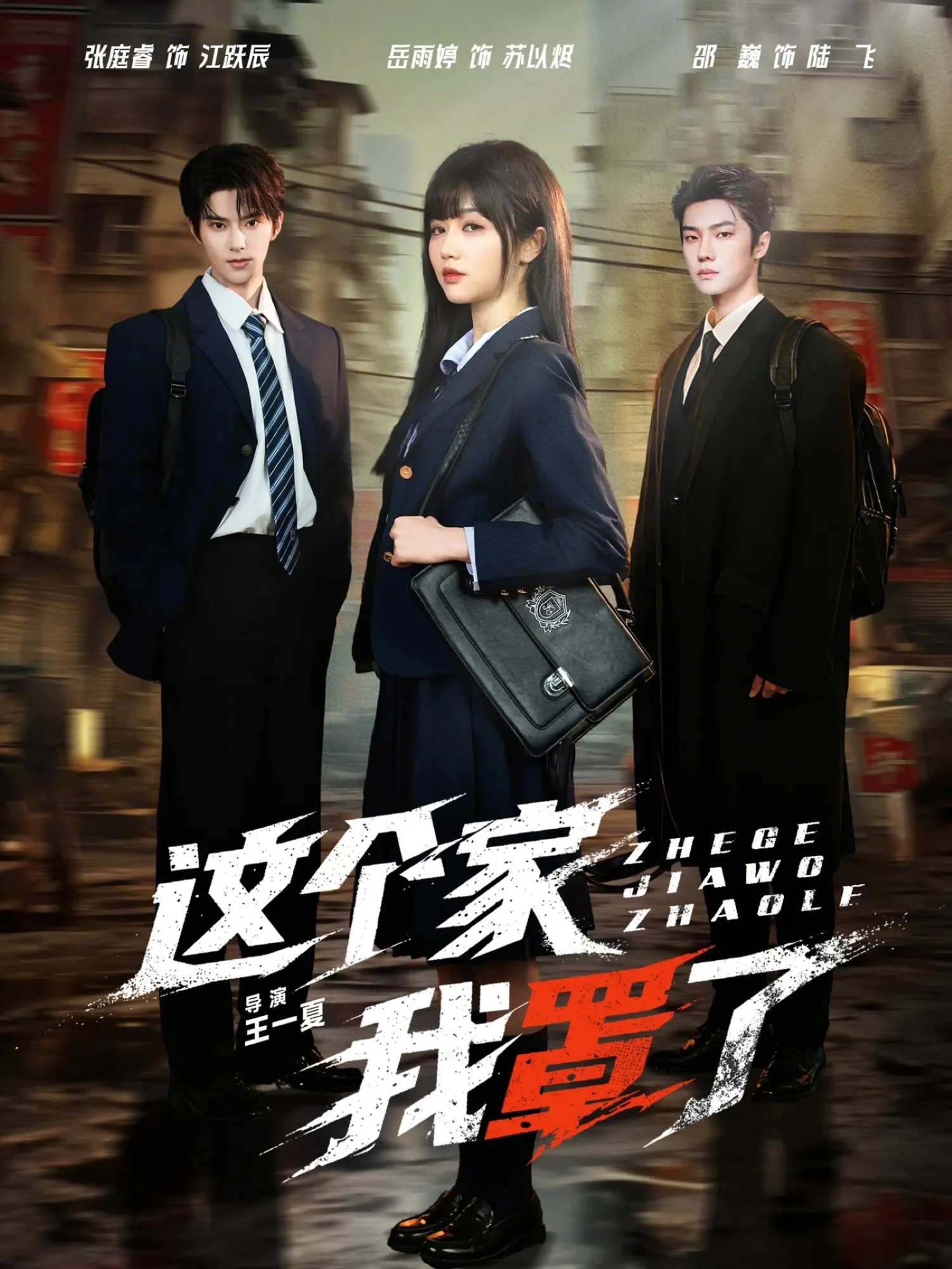 这个家我罩了海报