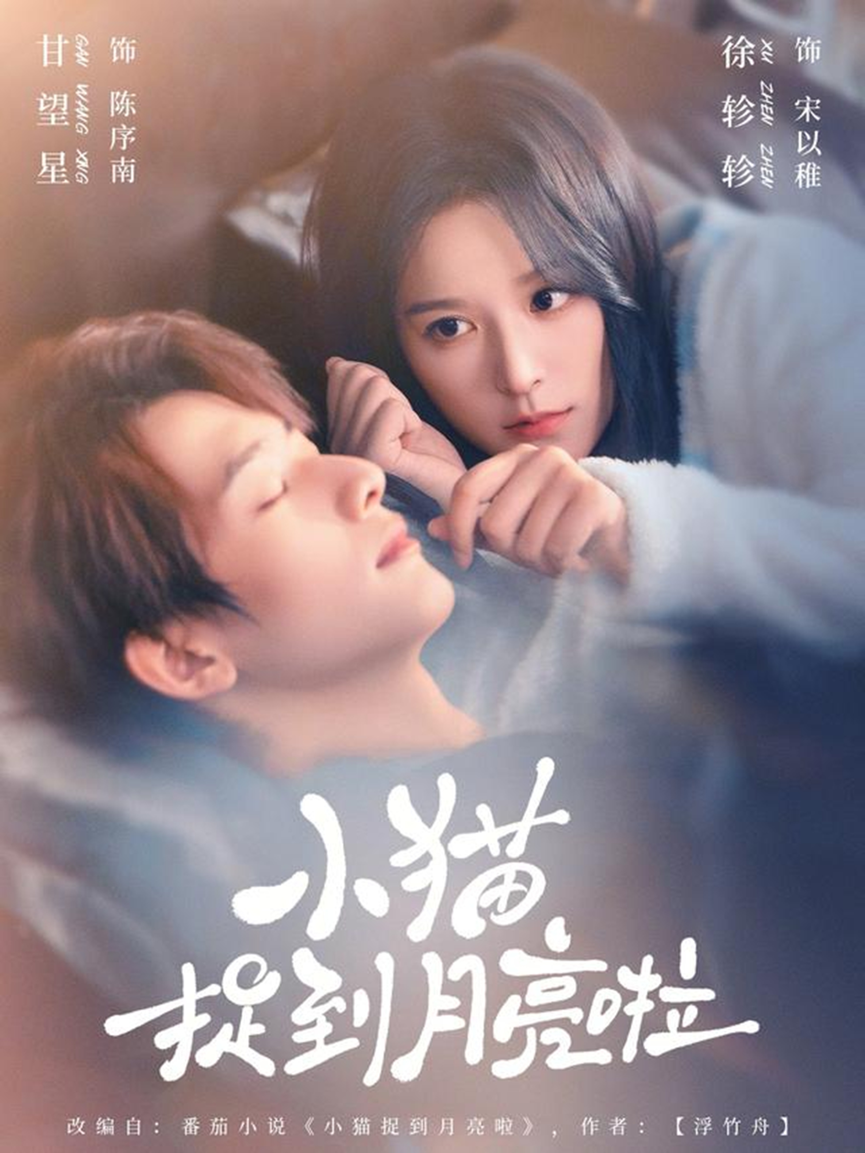 小猫捉到月亮啦海报