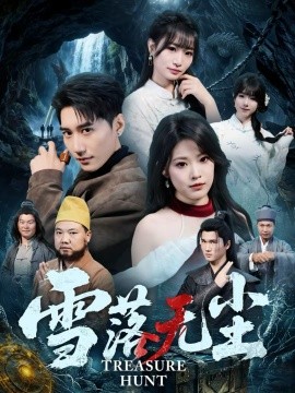 雪落无尘海报