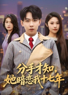分手才知，她暗恋我十七年海报