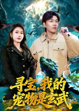 寻宝，我的宠物是玄武海报