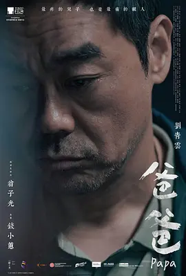 爸爸2024[电影解说]海报