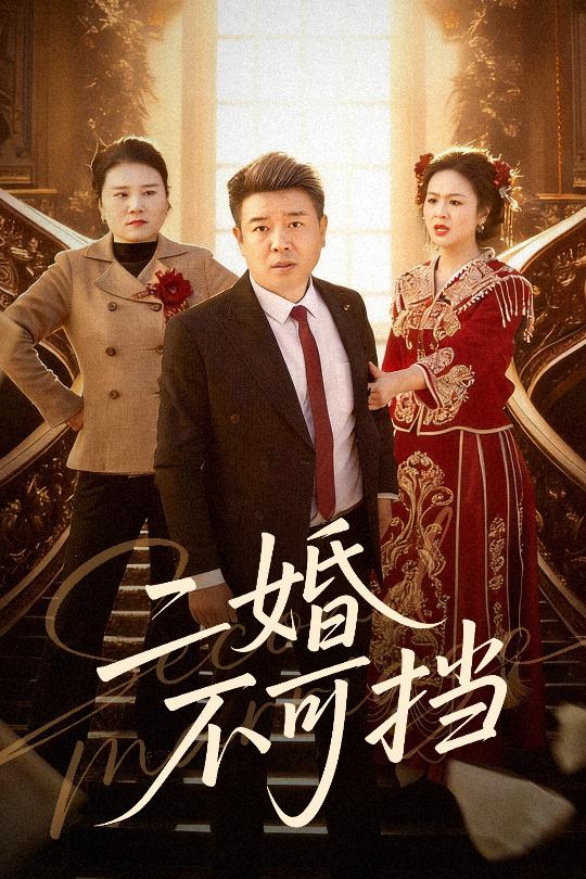 二婚不可挡海报