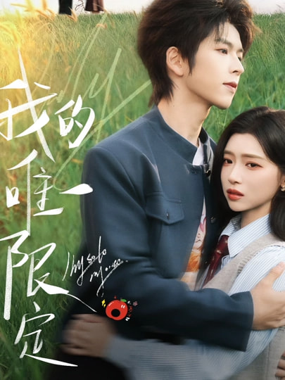 我的唯一限定海报