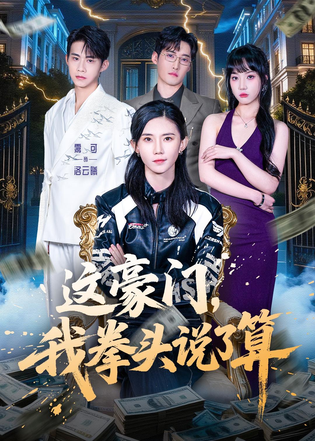 这豪门，我拳头说了算海报