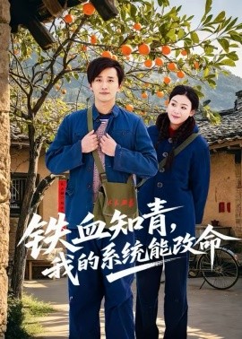 铁血知青，我的系统能改命海报