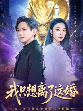 我只想离了这婚海报