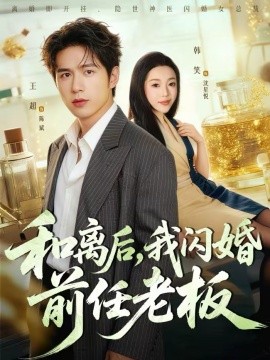 和离后，我闪婚前任老板海报