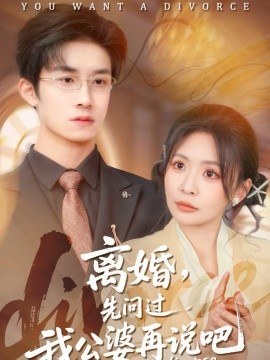 离婚，先问过我公婆再说吧海报
