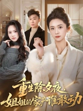 重生除夕夜，姐姐的家产谁敢动海报
