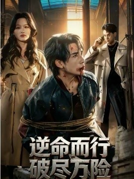 逆命而行破尽万险海报