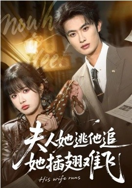 夫人她逃他追，她插翅难飞海报