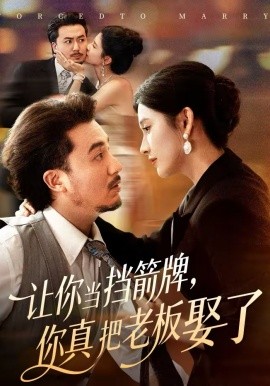让你当挡箭牌，你真把老板娶了海报