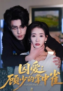 囚爱：顾少的掌中雀海报
