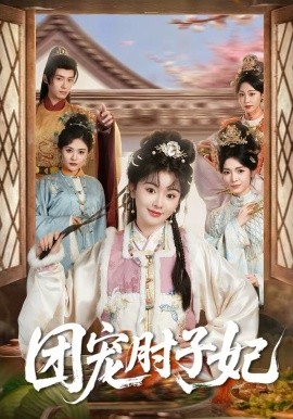 团宠肘子妃海报