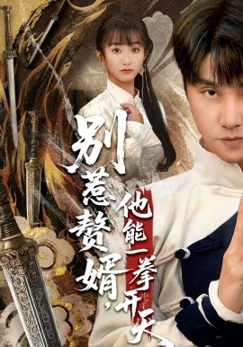 别惹赘婿，他能一拳开天海报