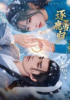 逐鹿当归海报