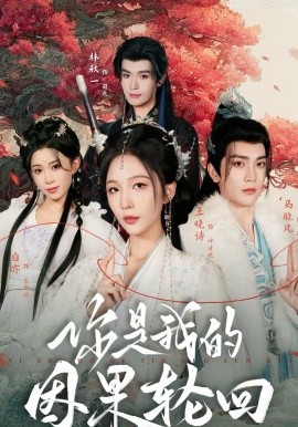 你是我的因果轮回海报