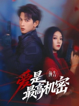 爱是最高机密海报