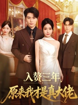 入赘三年，原来我才是真大佬海报
