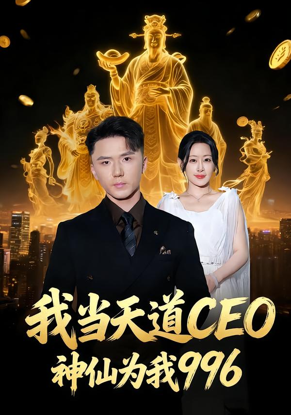 我当天道CEO，神仙为我996海报
