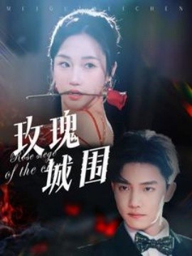 玫瑰城围海报