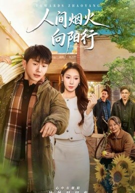 人间烟火向阳行海报
