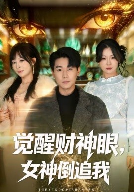觉醒财神眼，女神倒追我海报
