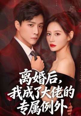 离婚后，我成了大佬的专属例外海报