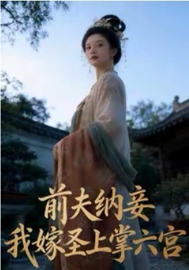 前夫纳妾，我嫁圣上掌六宫海报