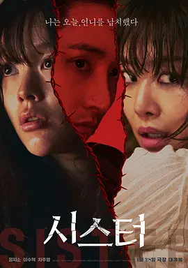 姐妹2026[电影解说]海报