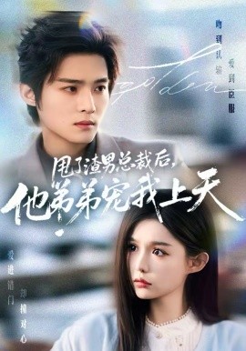 甩了渣男总裁后，他弟弟宠我上天海报