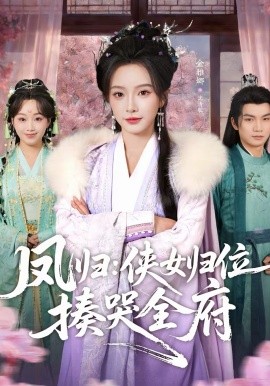 凤归：侠女归位揍哭全府海报