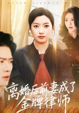 离婚后前妻成了金牌律师海报