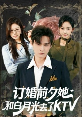订婚前夕她和白月光去了KTV海报